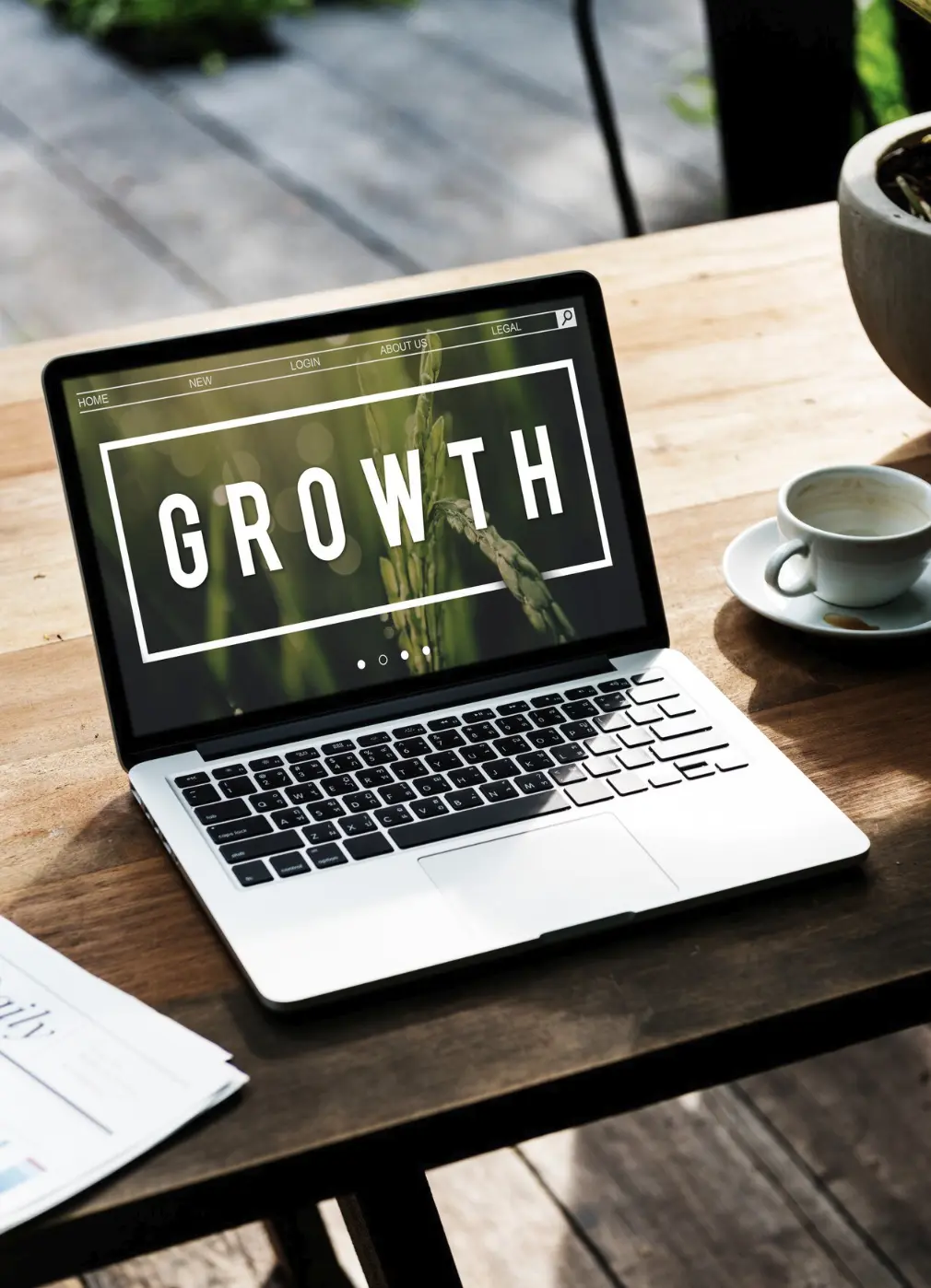 portfolio of digital marketing agency