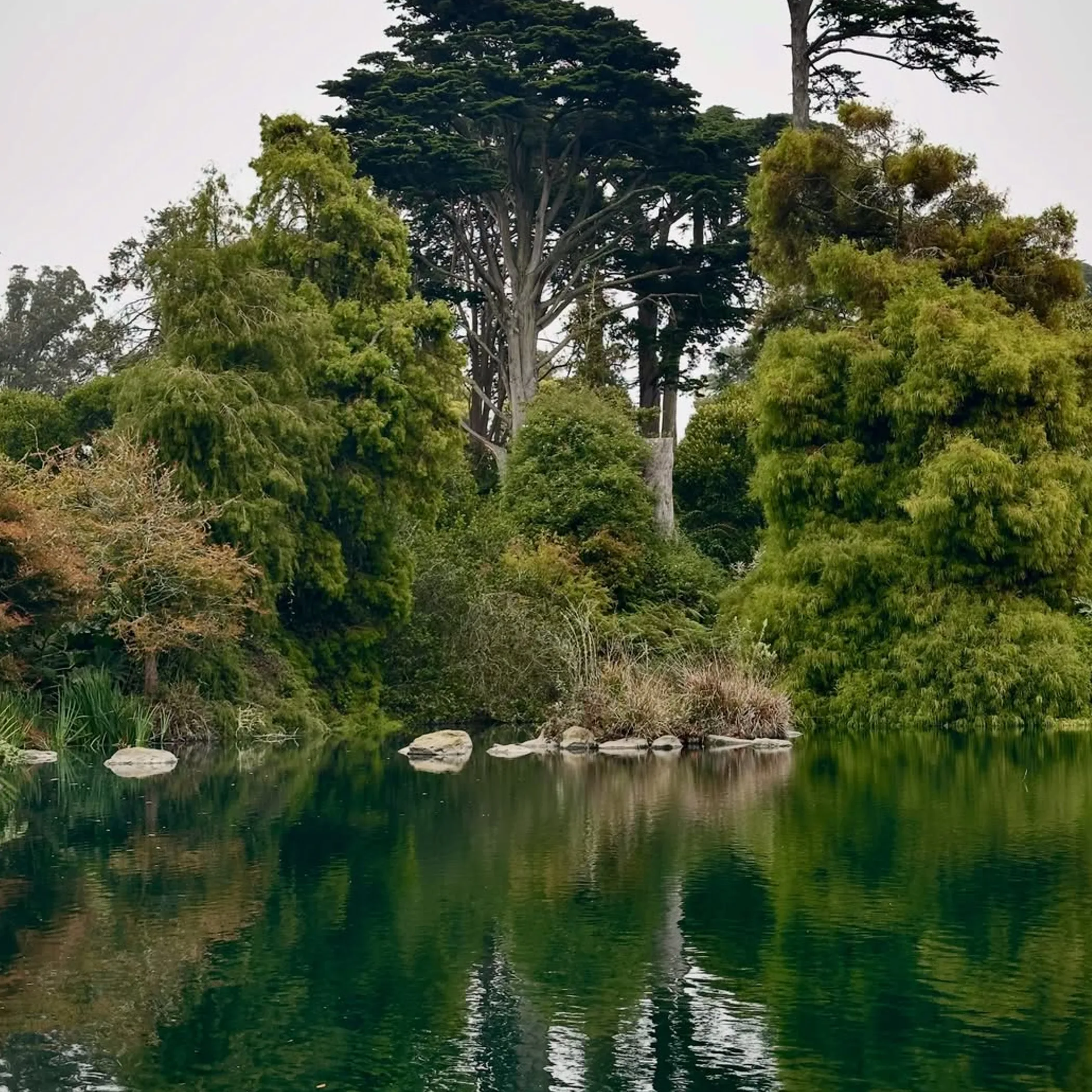 botanical gardens around urban lake