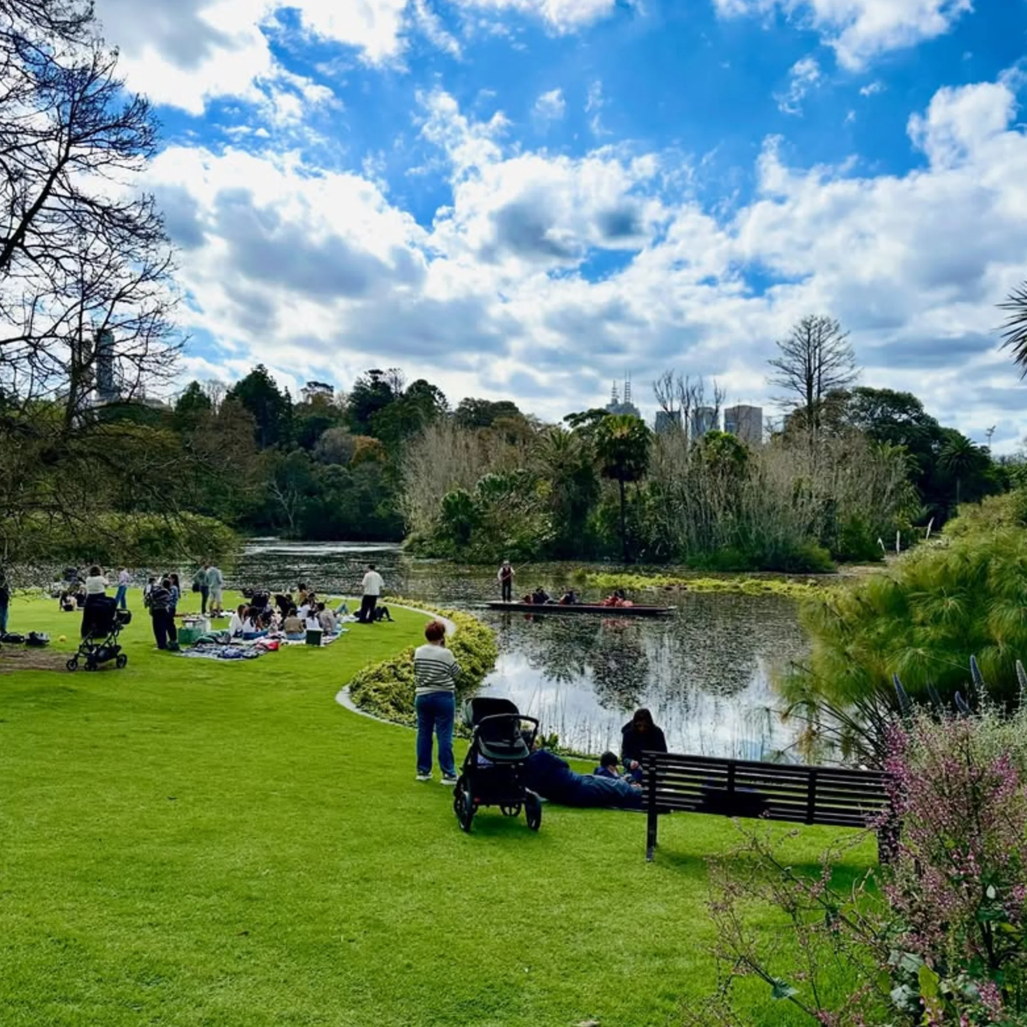 botanical garden beside urban lake