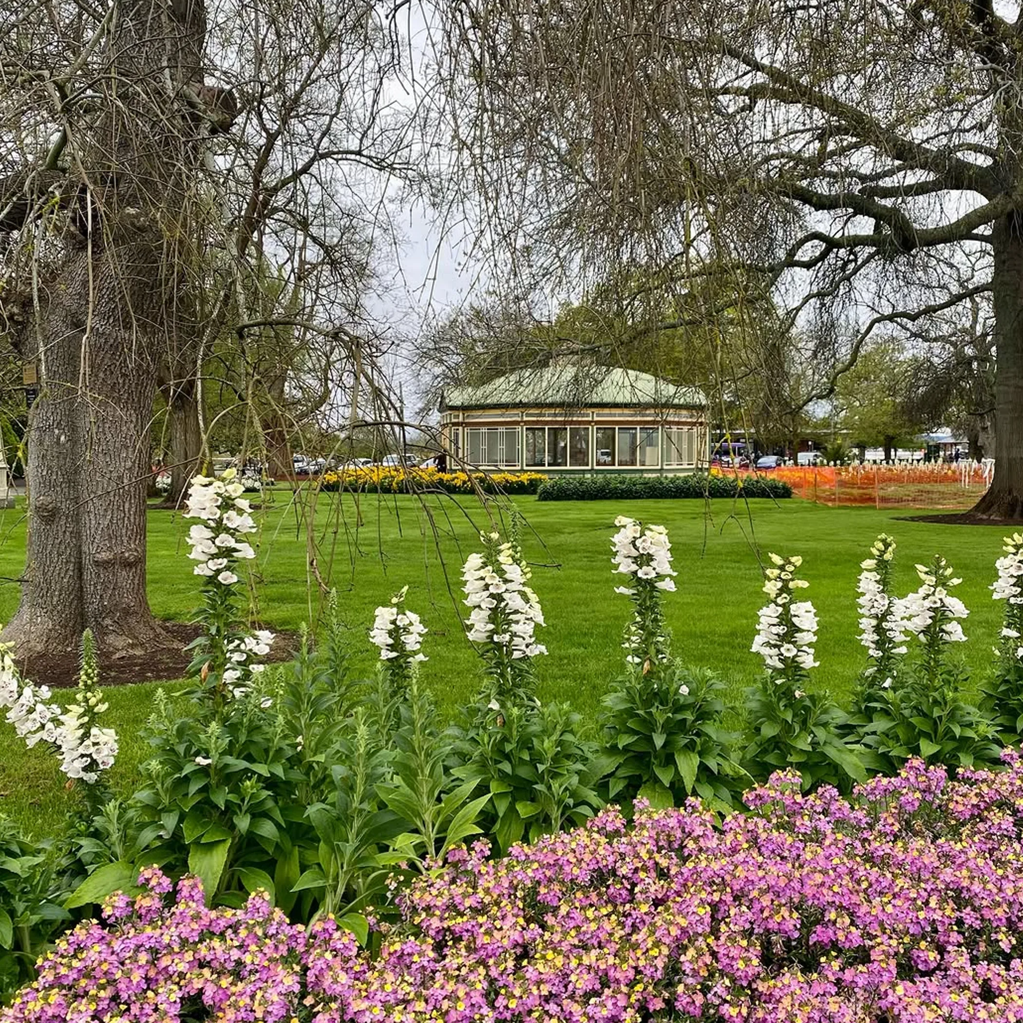 a garden photograph