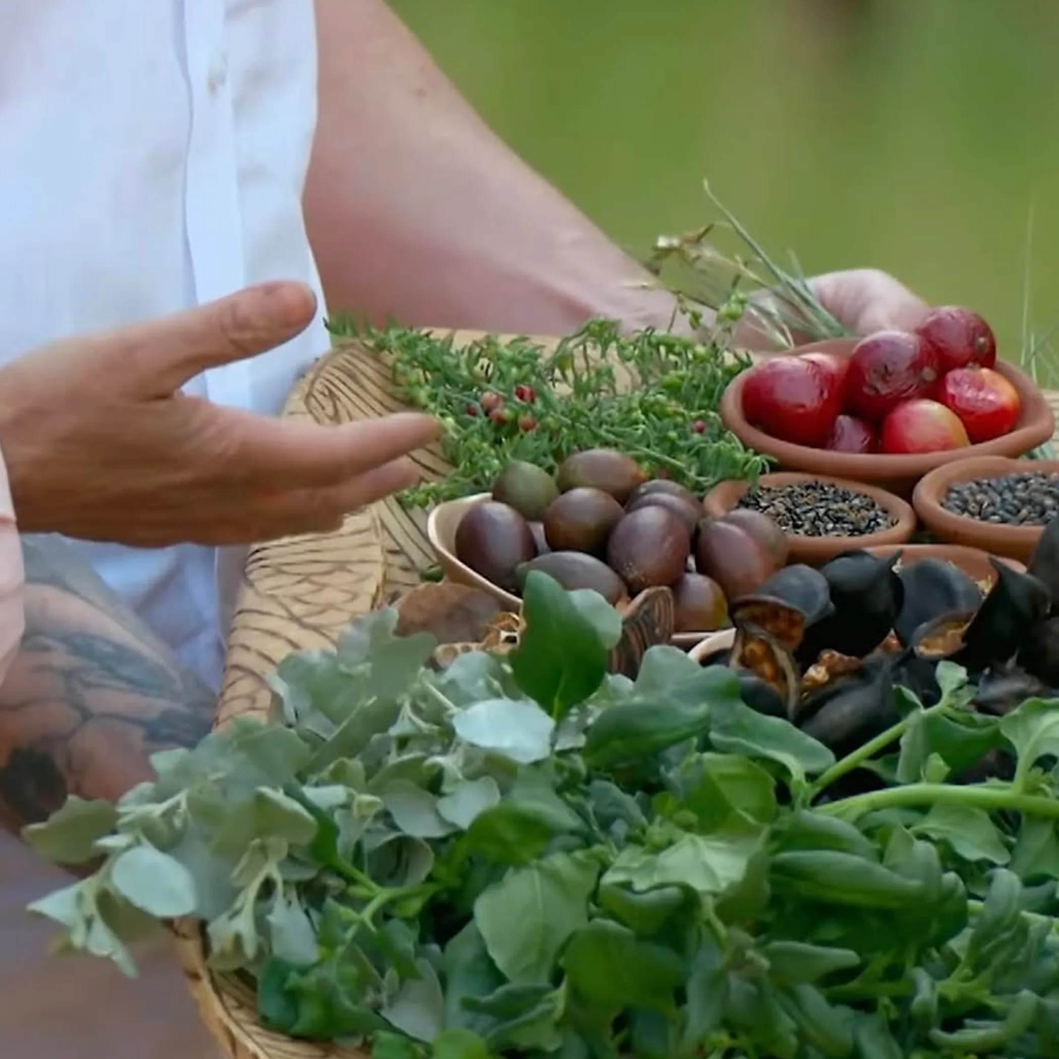 native ingredients and produce