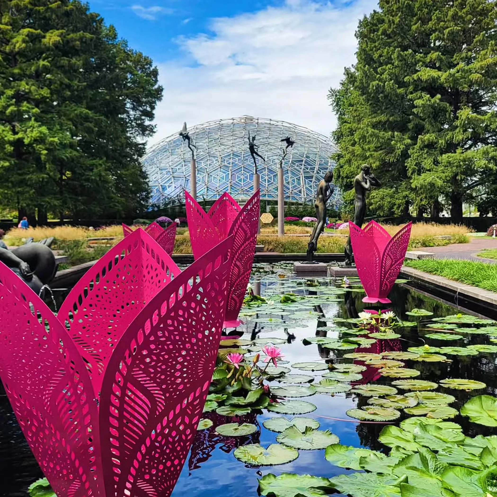 botanical garden water feature with lilies