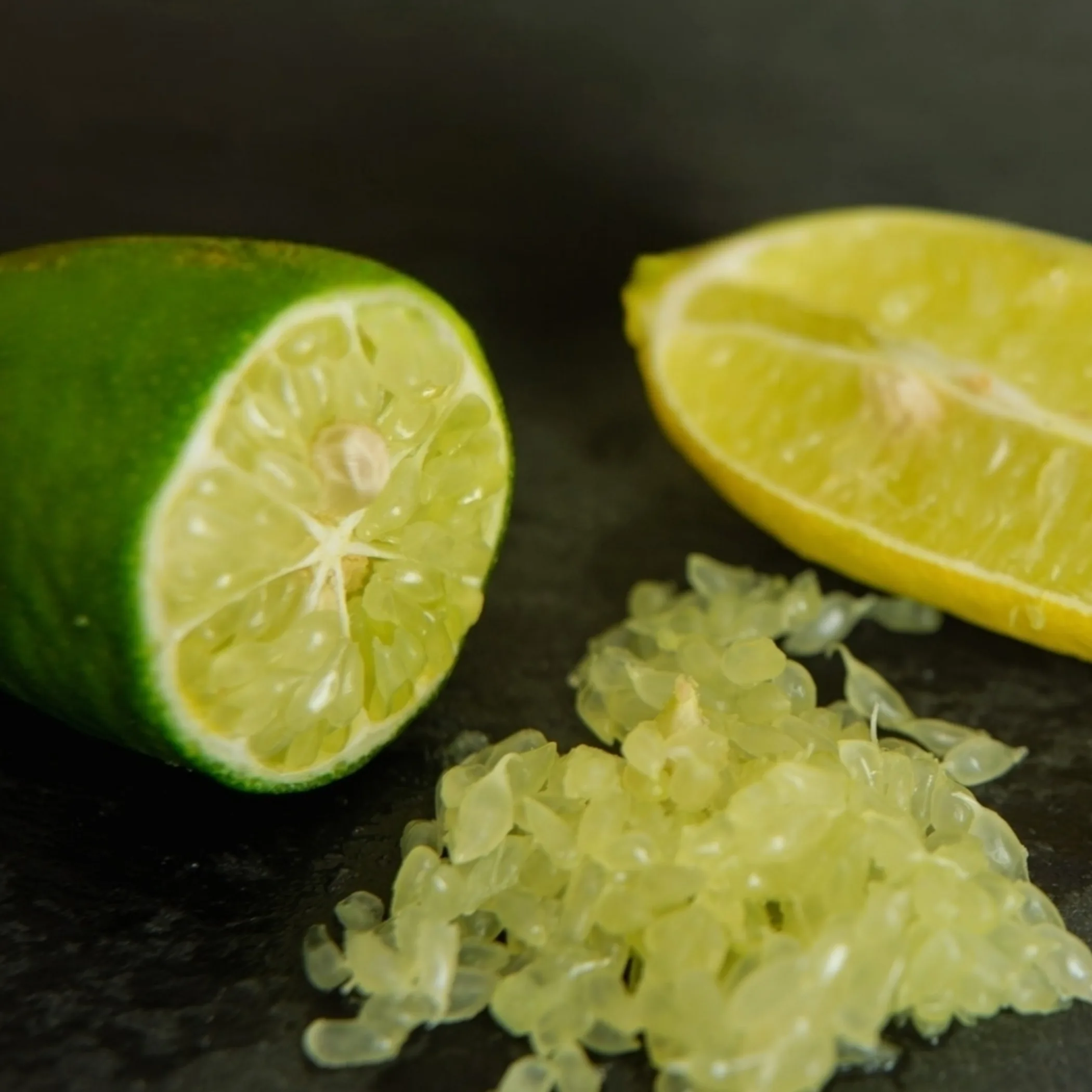 finger lime with pearl-like vesicles