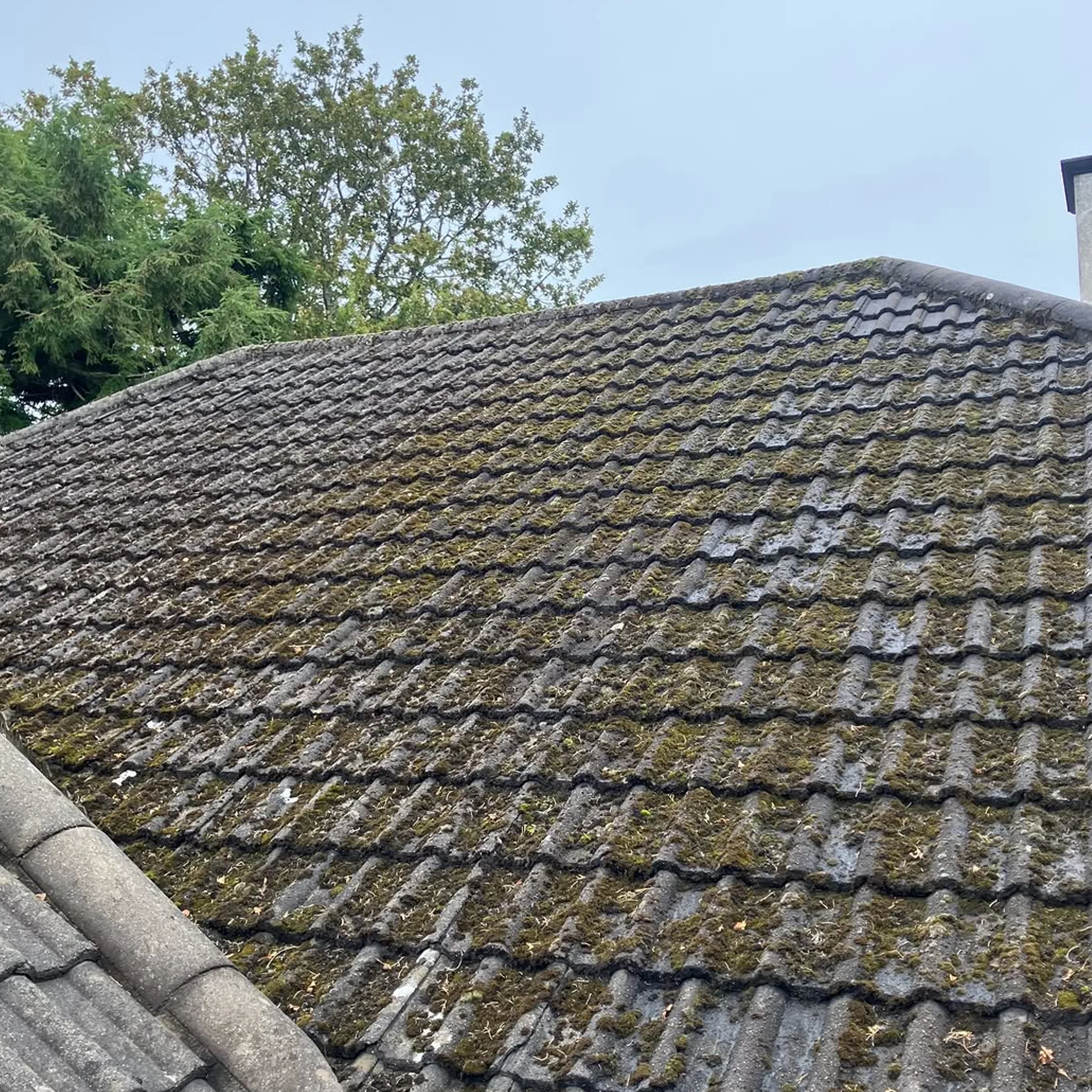 roof cleaning subject